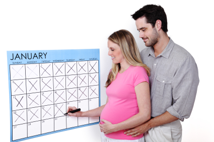 Pregnancy Calendar.
